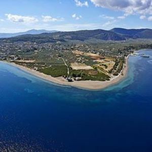 Meet your Posher, Tolis